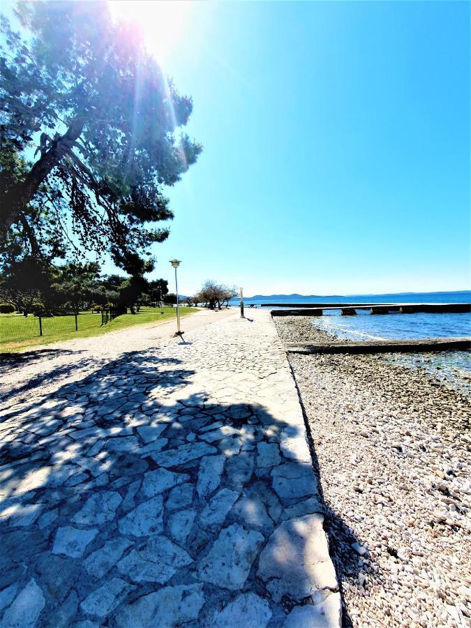 Apartment Zadar - Pine Diklo Exterior photo